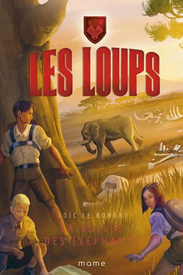 La vallée des éléphants - Loic Le Borgne