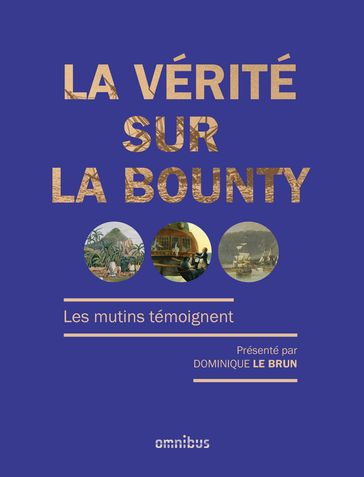 La vérité sur la Bounty - Dominique Le Brun