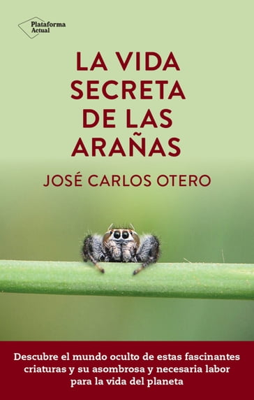 La vida secreta de las arañas - JOSÉ CARLOS OTERO