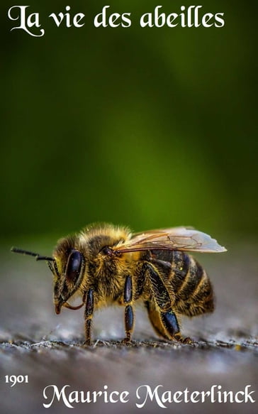 La vie des abeilles - Maurice Maeterlinck