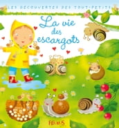 La vie des escargots