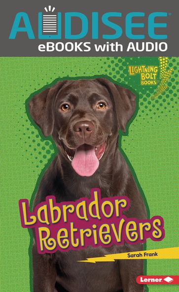 Labrador Retrievers - Sarah Frank