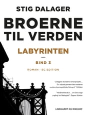 Labyrinten - Broerne til verden 3