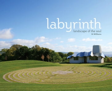 Labyrinth - Di Williams