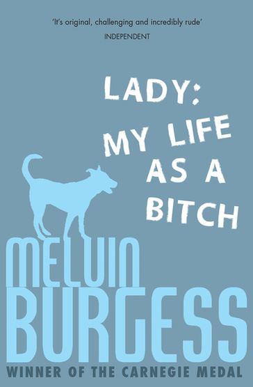 Lady - Melvin Burgess