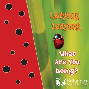 Ladybug, Ladybug, What Are You Doing? - Jo Cleland