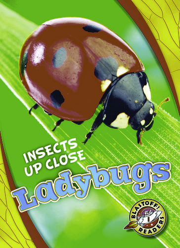 Ladybugs - Christina Leaf