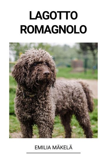 Lagotto Romagnolo - Emilia Makela