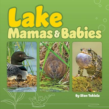 Lake Mamas & Babies - Stan Tekiela