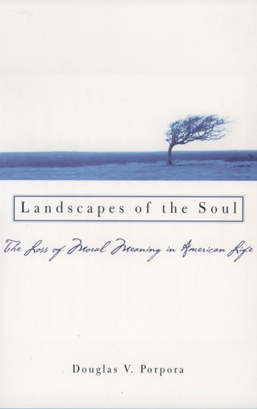 Landscapes of the Soul - Douglas V. Porpora