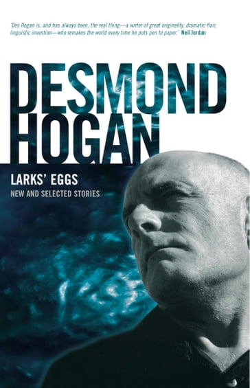 Lark's Eggs - Desmond Hogan