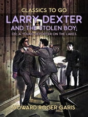 Larry Dexter And The Stolen Boy, Or A Young Reporter On The Lakes
