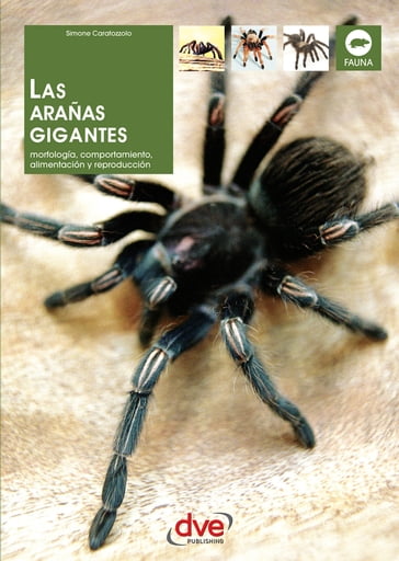 Las arañas gigantes - Simone Caratozzolo