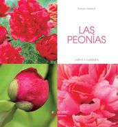 Las peonías - Cultivo y cuidados