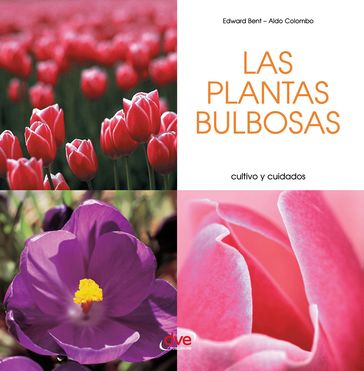 Las plantas bulbosas - Cultivo y cuidados - Edward Bent - Aldo Colombo
