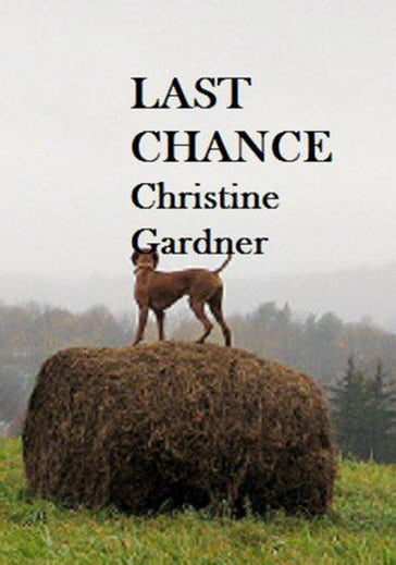 Last Chance - Christine Gardner