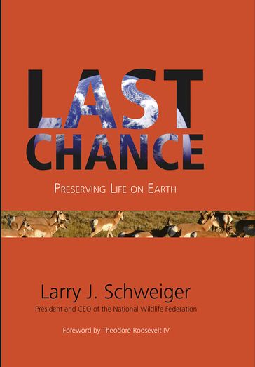 Last Chance - Larry J Schweiger