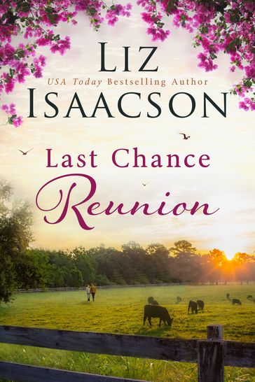 Last Chance Reunion - Liz Isaacson
