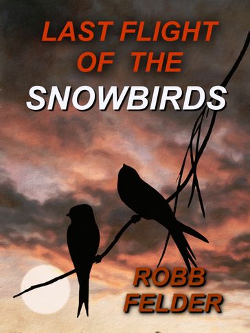 Last Flight Of The Snowbirds - Robb Felder