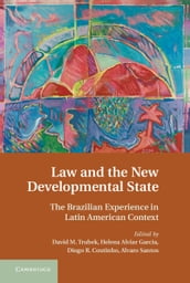 Law and the New Developmental State