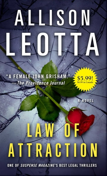 Law of Attraction - Allison Leotta