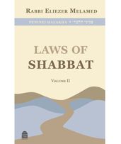 Laws of Shabbat Vol. 2
