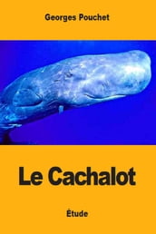 Le Cachalot