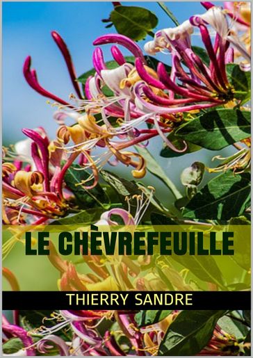 Le Chèvrefeuille - Thierry Sandre