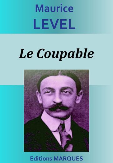 Le Coupable - Maurice Level