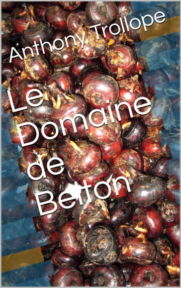 Le Domaine de Belton - Anthony Trollope - traduction : Eugène Dailhac