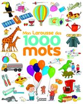 Le Larousse des 1 000 mots NE