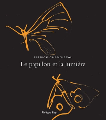 Le Papillon et la lumière - Patrick Chamoiseau