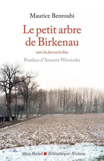 Le Petit Arbre de Birkenau - Maurice Benroubi