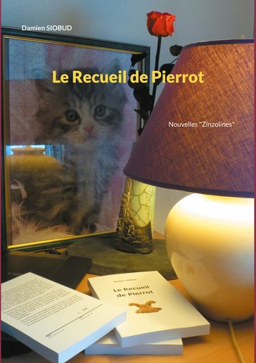 Le Recueil de Pierrot - Damien siobuD