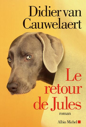 Le Retour de Jules - Didier van Cauwelaert