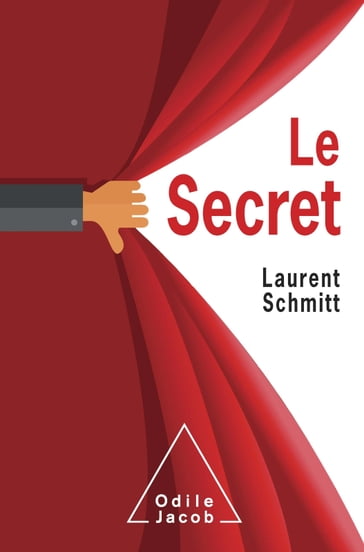 Le Secret - Laurent Schmitt