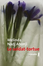 Le Soldat-tortue