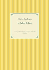 Le Spleen de Paris