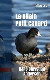 Le Vilain Petit Canard