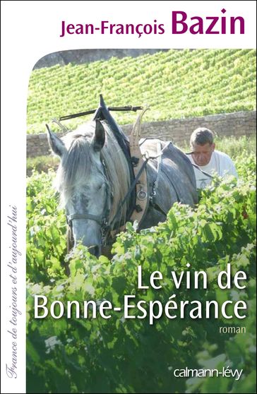 Le Vin de bonne espérance - Jean-François Bazin