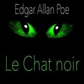 Le chat noir