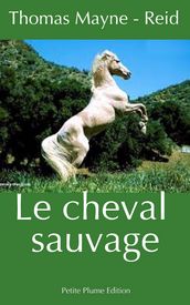 Le cheval sauvage