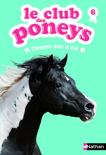 Le club des poneys - Tome 6 - Olivier Rabouan - Sylvie Baussier