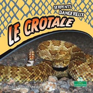 Le crotale (Rattlesnakes) - Tracy Nelson Maurer