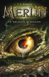 Le dragon d Avalon