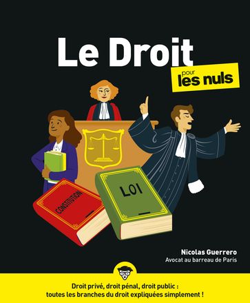 Le droit Pour les Nuls NE - Nicolas GUERRERO