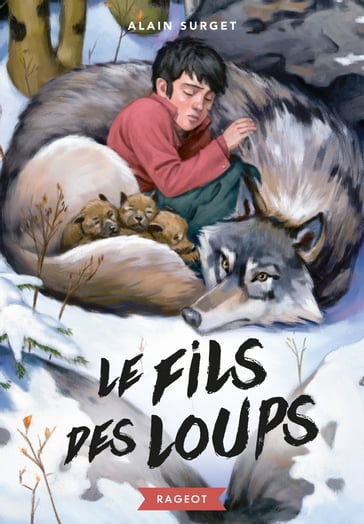 Le fils des loups - Alain Surget