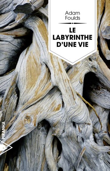 Le labyrinthe d'une vie - Adam Foulds