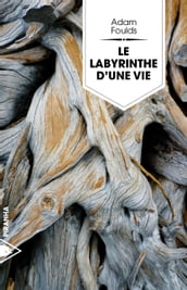 Le labyrinthe d une vie