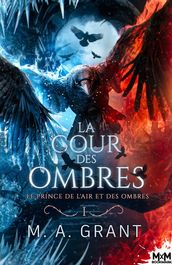 Le prince de l Air et des Ombres